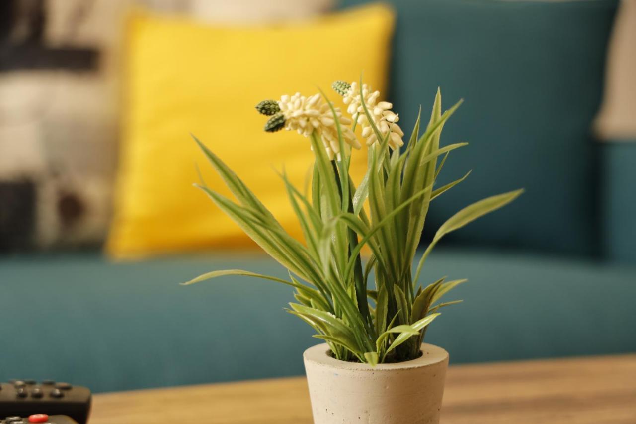 Apartments Harmony Žabljak Zewnętrze zdjęcie